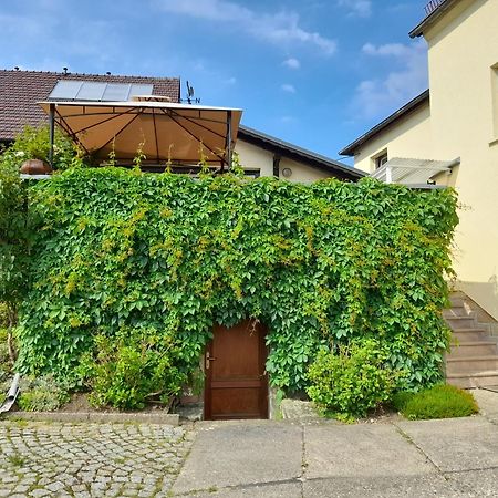 Wolfsbergblick Apartment Reinhardtsdorf-Schona Exterior photo